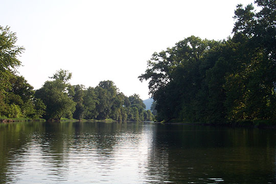 Chesapeake Bay Image