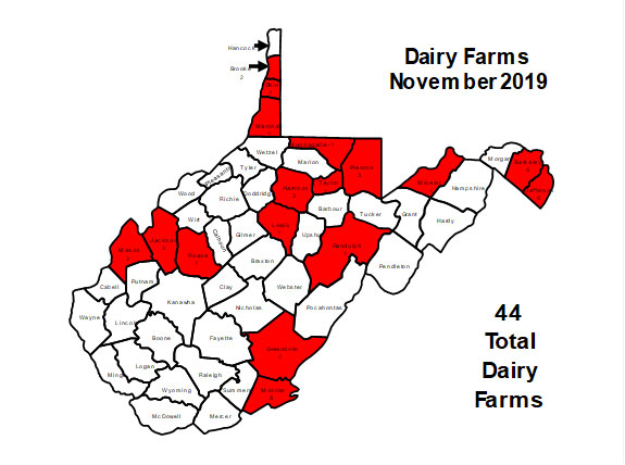 Dairy Farms Nov 2019