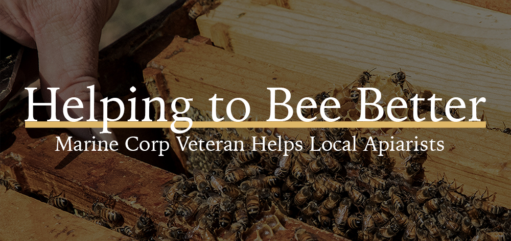 Helping to Bee Better, Marine Corp Veteran Helps Local Apiarists