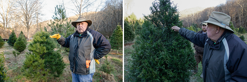 Collage of Larry Wilkerson showcasing the trees on the farm.