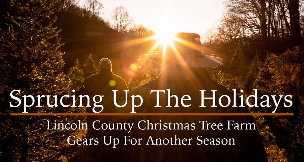 Sprucing up the Holidays, Lincoln County Christmas Tree Farm Gears Up for Another Season