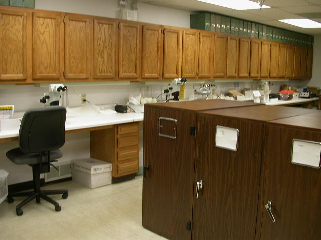 Insect Collection and Pest Identification Lab