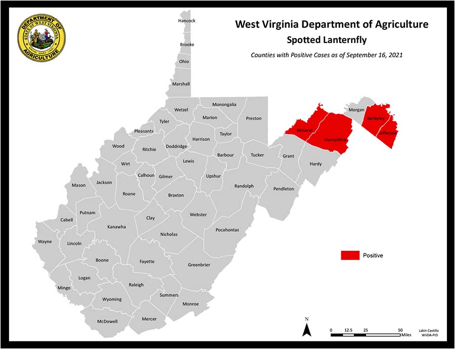 Map of the West Virginia Counties illustrating counties where spotted lanternflies have been recorded