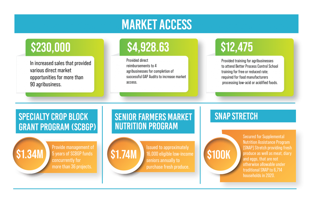 Infographic representing Market Access