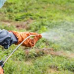 Spraying for Weeds