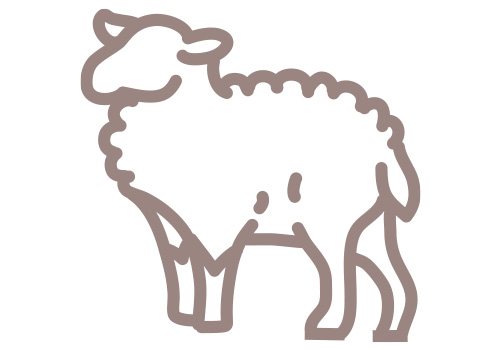 Animal Health Icon